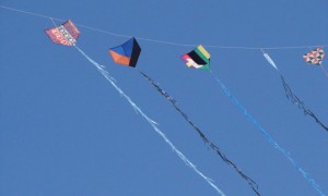 drone pmrj