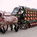 Em vez de fotos de candidatos e apitos irritantes, as urnas de Blumenau forneceram chope